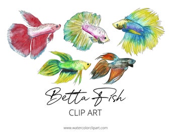 Watercolor Betta Fish Clip Art Commercial Use, Siamese Fighting Fish Clipart, INSTANT DOWNLOAD, Hand Drawn Fish Outline Clipart, BUNDLE