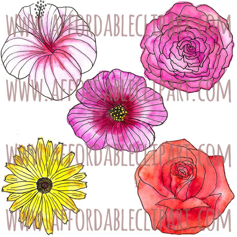 Watercolor Floral Clip Art Commercial Use Watercolor Flower Etsy