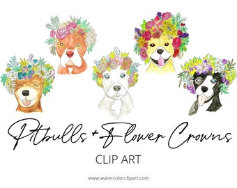 Hand Painted Pit Bull With Flower Crown, Pit Bull Clip Art, Watercolor Pit Bull Clip Art PNG, Pit Bull Lovers, Watercolor Dog Clip Art