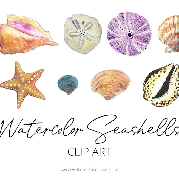 Handpainted Watercolor Seashell Clip Art, Starfish Clip Art, Watercolor Clip Art, INSTANT DOWNLOAD, Sand Dollar ClipArt, Nature Clip Art