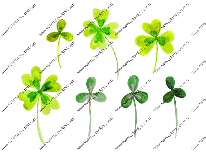 Lucky Clovers and Shamrocks Clip Art, Shamrock Clip Art, St. Patrick's Day Clip Art, Clovers Clip Art, INSTANT DOWNLOAD, Watercolor Clip Art image 2