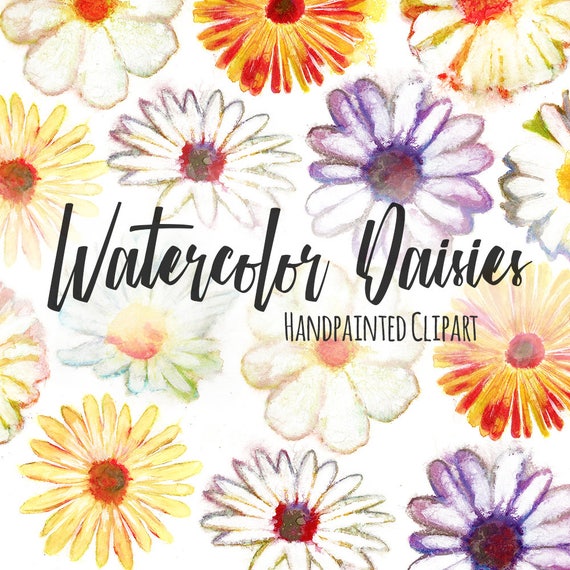 PNG Files Instant Digital Download Hand Painted Watercolor Daisies /& Tulips Printable Clip Art Spring Flowers Watercolor Flowers Clipart