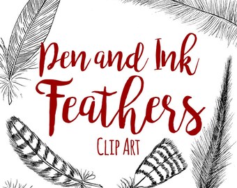 Hand Drawn Pen And Ink Feathers Clipart, Commercial Use, No Ai