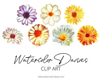 Watercolor Daisy Clip Art, Floral Clip Art, Watercolor Clip Art, Gouache Clip Art, INSTANT DOWNLOAD, Transparent Clip Art, Painted Clip Art