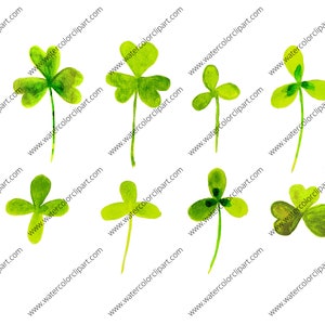 Lucky Clovers and Shamrocks Clip Art, Shamrock Clip Art, St. Patrick's Day Clip Art, Clovers Clip Art, INSTANT DOWNLOAD, Watercolor Clip Art image 3