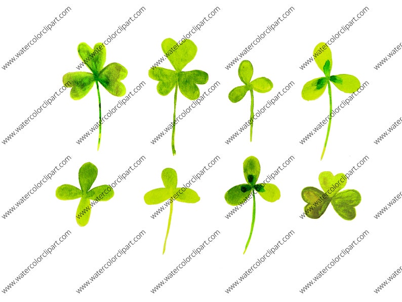 Lucky Clovers and Shamrocks Clip Art, Shamrock Clip Art, St. Patrick's Day Clip Art, Clovers Clip Art, INSTANT DOWNLOAD, Watercolor Clip Art image 3