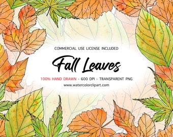 Watercolor Fall Leaves Clip Art  Images for Back to School, Thanksgiving, Autumn Clip Art, Maple Leaves Clip Art, Green Leaf, Commercial Use