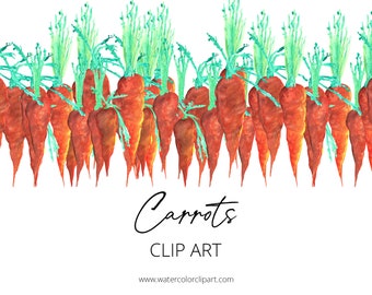 Watercolor Carrots Clip Art, Root Vegetables Clip Art, Orange Clip Art, Whole Carrots Clip Art, INSTANT DOWNLOAD, Watercolor Clip Art