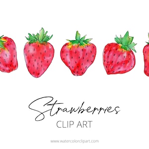 Aquarelle fraise clipart, clipart fraise entière, clipart fruits, usage Commercial, clipart nourriture aquarelle, fraise PNG