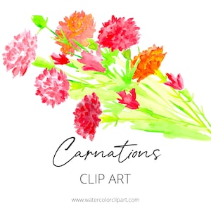 Watercolor Carnations Clip Art, Custom Invitations Clip Art, Digital Flowers PNG Clip Art, Wedding Flowers Clip Art, Mother&#39;s Day Clip Art