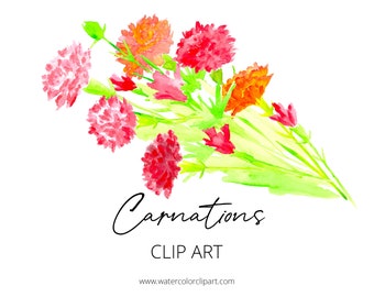 Watercolor Carnations Clip Art, Custom Invitations Clip Art, Digital Flowers PNG Clip Art, Wedding Flowers Clip Art, Mother's Day Clip Art