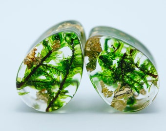 Ear Plugs,  Real Moss Plugs, Resin Plug Earrings, Magic Resin Ear Plugs, Fairy Gauges, Real Plant Organic Gauges, Wood Resin Piercing