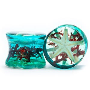 Könnte beinhalten: Zwei türkisblaue Ohr-Dehnstäbe mit maritimem Thema. Einer zeigt einen weißen Seestern und rote Algen in klarem Harz. Der andere hat rote Algen und dunkle Formen. Der Hintergrund ist weiß.