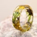 see more listings in the Ringe Harz & Blumen section