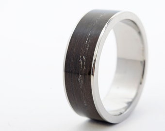 Titanium Wood Rings, Titanium Ebony Ring, Unique Wedding Rings. Titanium Wedding Band Men, Titanium Wood Ring, Wood and Titanium Ring