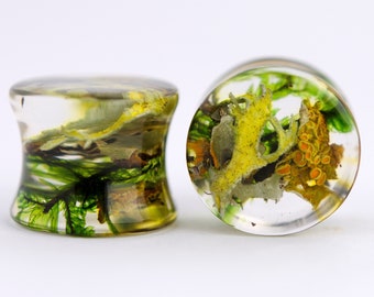 Nature Ear Plugs Lichen Terrarium Piercing, Magic Resin Ear Plugs, Fairy Gauges, Real Plant Organic Gauges, Wood Resin Piercing Resin Plugs