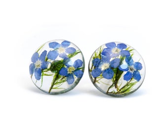 Boucles d'oreilles bleues en résine myosotis Bijoux en fleurs en résine végétale véritable Boucles d'oreilles botaniques Boucles d'oreilles faites main Boucles d'oreilles en mousse de terrarium Clous en résine