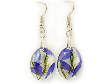 Resin Real Diphinium Earrings, Resin Real Flower Earrings, Pressed Blue Flower Earrings. Pressed Diphinium and Green Moss Earrings.