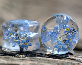 Forget me not blue flower plug earrings resin ear plugs wedding plugs pressed flower wedding gauges ear tunnel terrarium Forget me not plugs