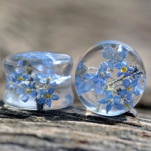 May include: Two clear glass plugs with blue forget-me-not flowers encased in resin.