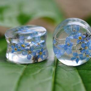 May include: Two clear glass ear gauges with blue forget-me-not flowers pressed inside. The gauges are sitting on a green leaf.