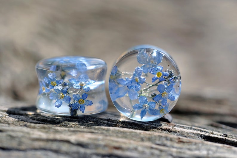 May include: Two clear glass plugs with blue forget-me-not flowers encased in resin.