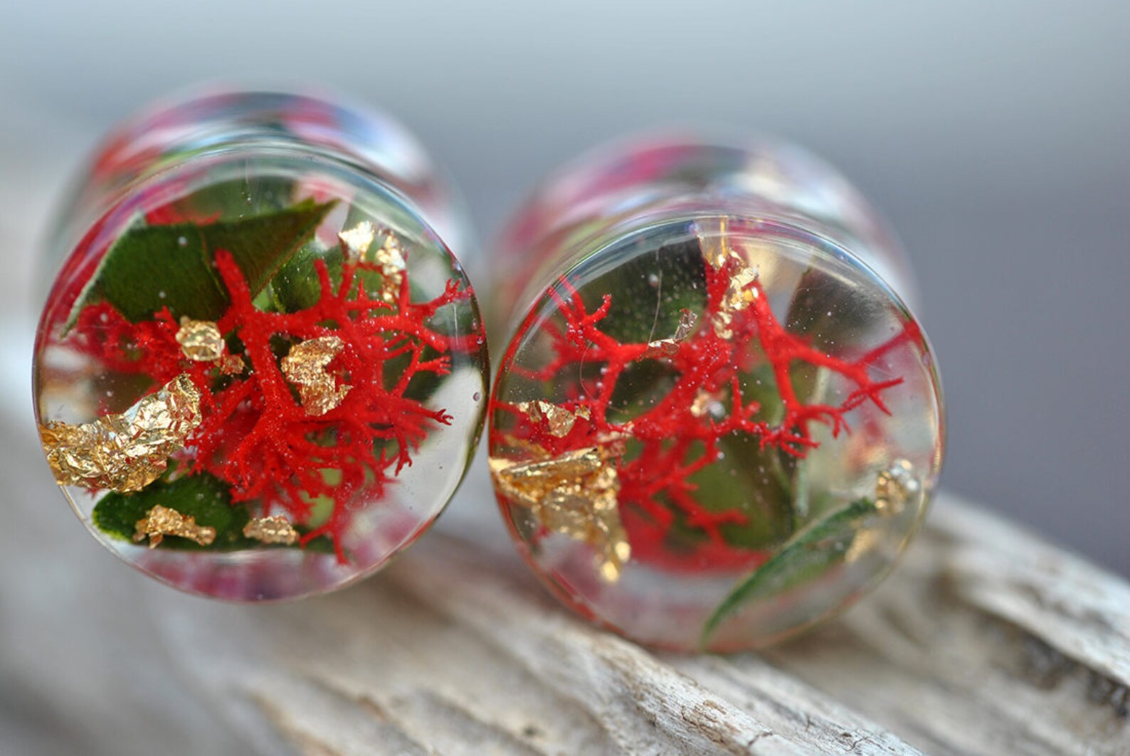 Real Flower Plugs Organic Plugs Plugs and Tunnels Unique Plugs Etsy