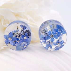 May include: Pair of clear glass ear gauges with blue forget-me-not flowers pressed inside.