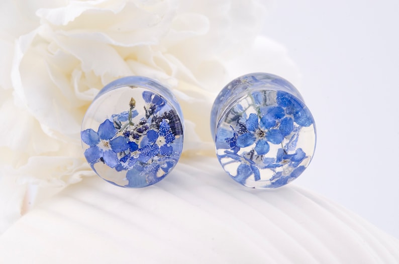 May include: Pair of clear glass ear gauges with blue forget-me-not flowers pressed inside.