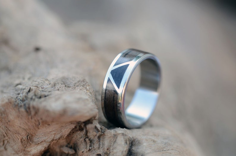 Signature Style Gibeon Meteorite and Dinosaur Bone Men/'s Titanium Wedding Band