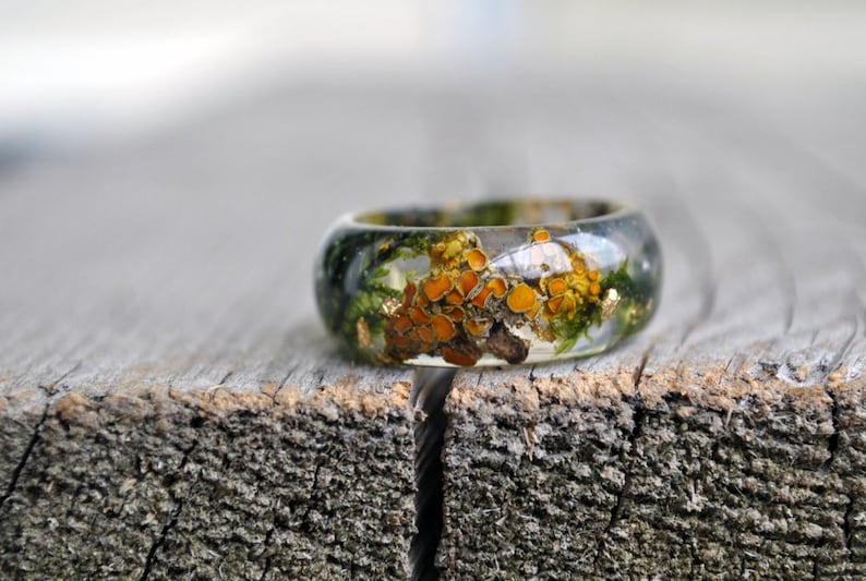 Terrarium Resin Ring with Natural Forest Moss and Brown Bark of Tree Men Wedding Resin Ring.Nature forest ring for men.REAL Moss Resin Ring