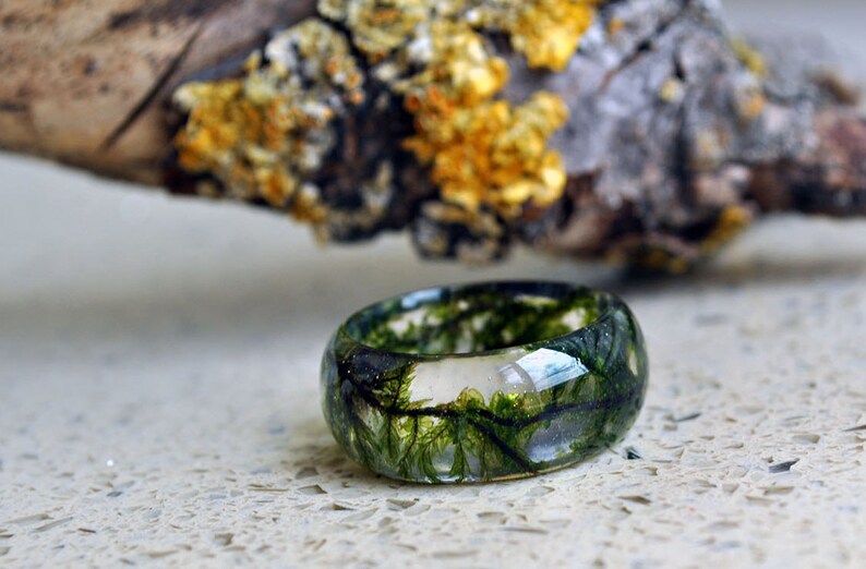 Real Moss Ring statement ring Nature resin green moss ring Etsy