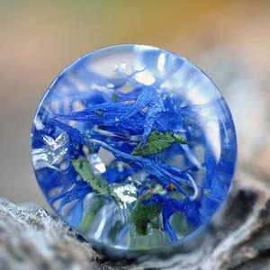 Dark Blue Ear Plugs, Ear Gauges, Ear Stretchers, Ear Plugs Gauges, Wedding Plugs, Cornflower Plugs, Plug Earrings, Custom Organic Plugs