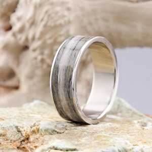 Gray Poplar Titanium Ring, Gray Poplar Wedding Ring, Titanium Ring with Gray Poplar, Titanium Wood Ring
