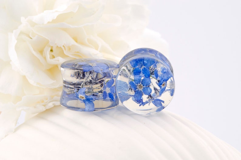 May include: Two clear glass ear gauges with blue forget-me-not flowers pressed inside. The gauges are round and have a smooth, polished finish.