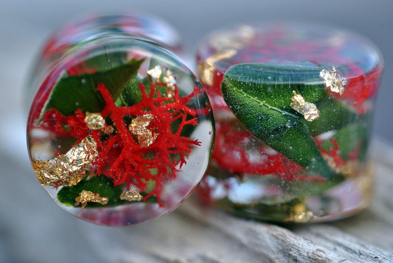 Real Flower Plugs Organic Plugs Plugs and Tunnels Unique Plugs Etsy