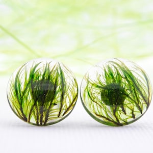 Earrings with Green Moss. Moss Earrings. Green Moss Silver Earrings. Green Moss Resin Earring, Real Dried Moss Earrings. Forest Moss Earring