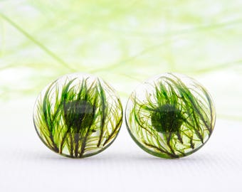 Earrings with Green Moss. Moss Earrings. Green Moss Silver Earrings. Green Moss Resin Earring, Real Dried Moss Earrings. Forest Moss Earring