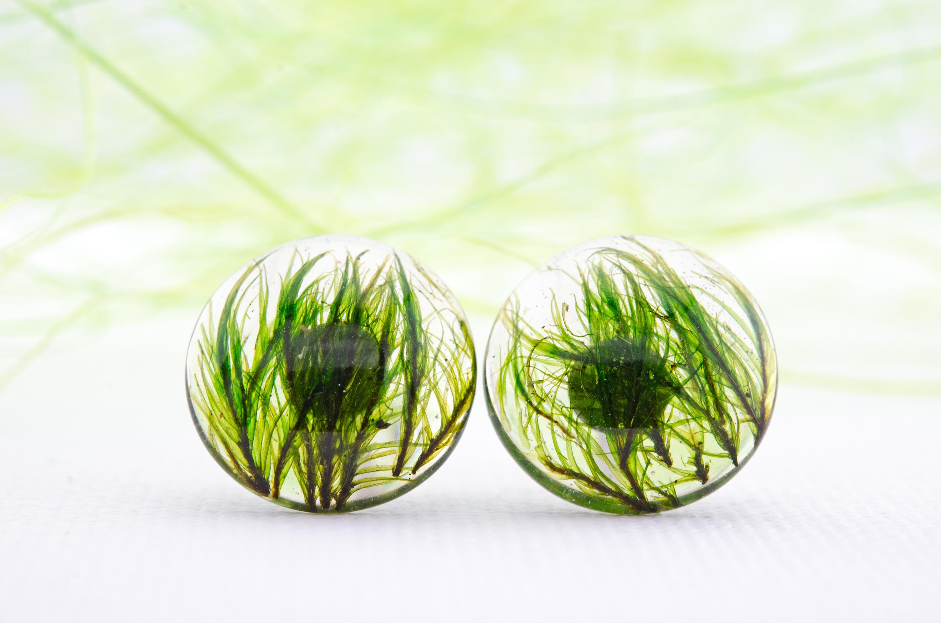 Earrings with Green Moss. Moss Earrings. Green Moss Silver Earrings. Green Moss Resin Earring, Real Dried Moss Earrings. Forest Moss Earring