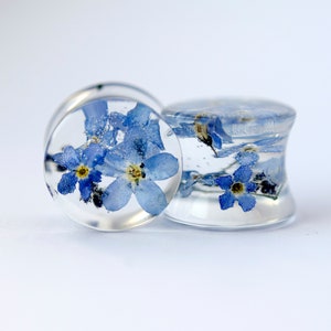May include: Two clear resin ear gauges with blue forget-me-not flowers pressed inside. The gauges are round and have a smooth, polished finish.