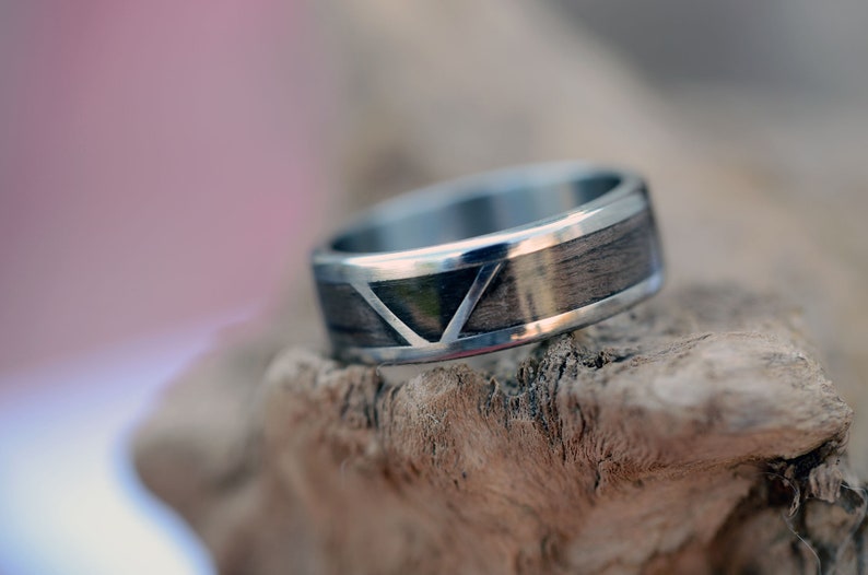 Signature Style Gibeon Meteorite and Dinosaur Bone Men/'s Titanium Wedding Band