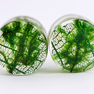 May include: A pair of round, clear resin ear gauges with a green leaf pattern inside.
