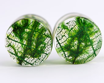 Bouchons d'oreilles, Bouchons d'oreilles en mousse véritable, Boucles d'oreilles bouchon en résine, Bouchons d'oreilles magiques en résine, Jauges de fée, Jauges organiques véritables, Piercing en résine de bois