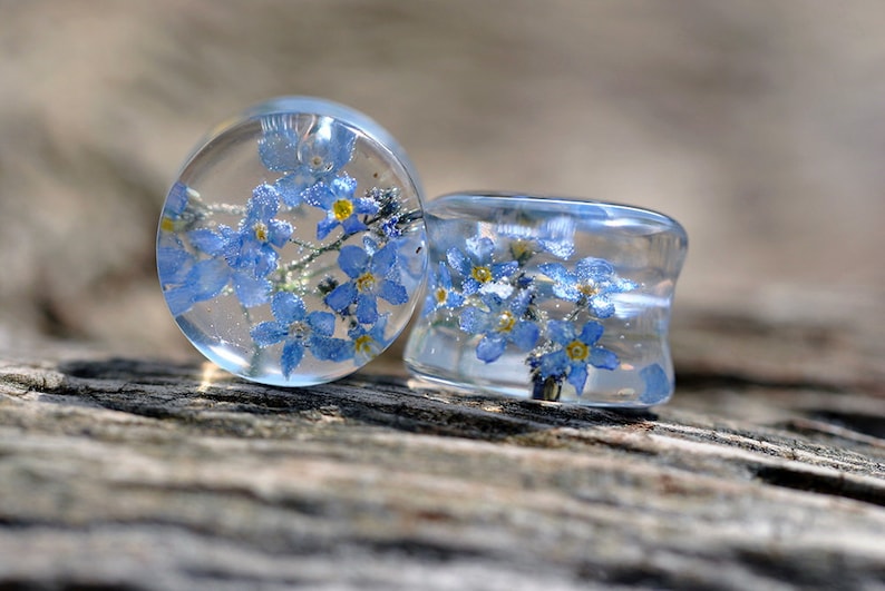 May include: Two clear resin plugs with embedded forget-me-not flowers. The plugs are round and have a smooth, polished finish.