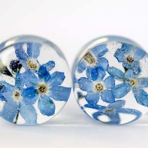 May include: Pair of clear resin ear gauges with blue forget-me-not flowers pressed inside. The flowers are visible through the clear resin.