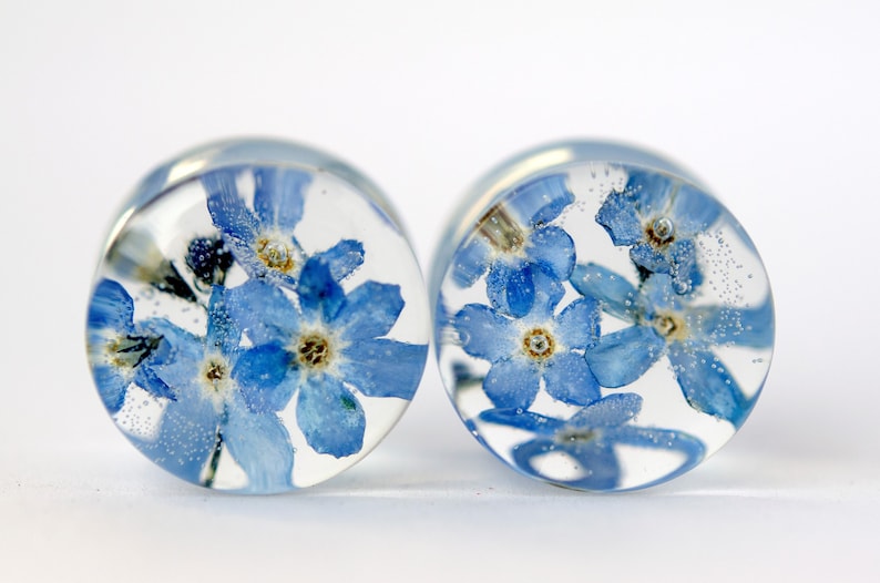 May include: Pair of clear resin ear gauges with blue forget-me-not flowers pressed inside. The flowers are visible through the clear resin.