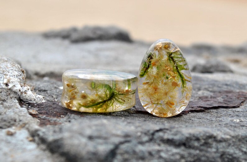 Real flower plugs Real Plant Organic Gauges Resin plug earrings Fairy Gauges Ear plugs Wood Resin Piercing Magic Resin Ear Plugs