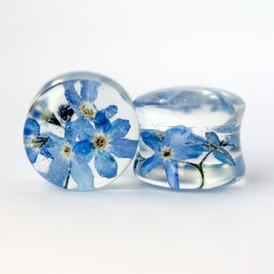 May include: Two clear glass ear gauges with blue forget-me-not flowers pressed inside.