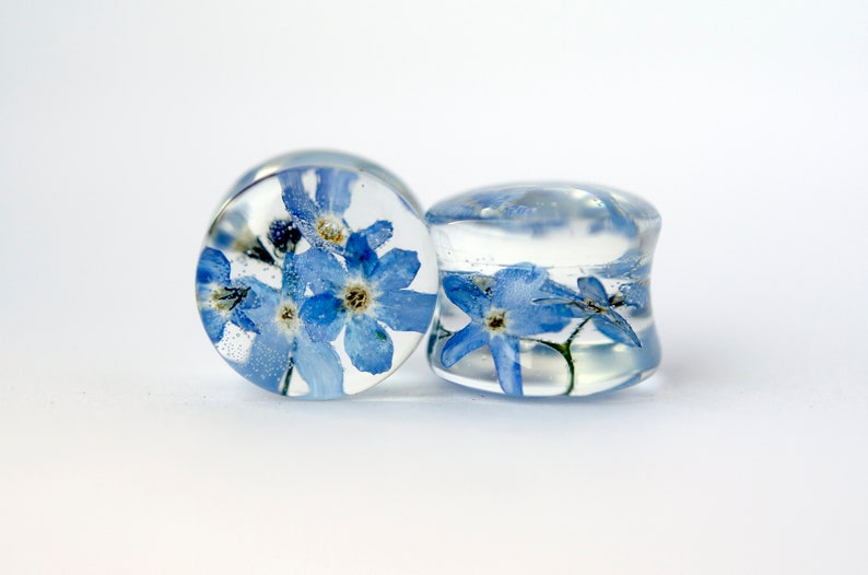 May include: Two clear glass ear gauges with blue forget-me-not flowers pressed inside.