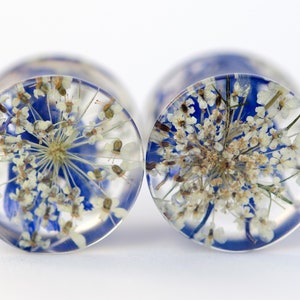 Blue Ear Plugs, Real Flower Ear Plugs, Botanical Ear Gauges, Nature Resin Ear Weights, Queen Anne Flowers, Natural Plug, Organic Plug, Plug